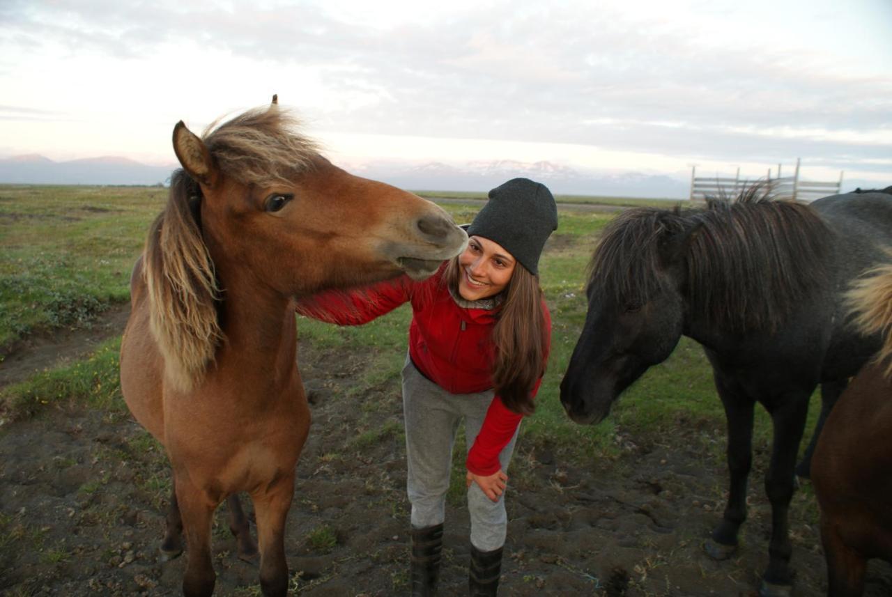 Husey Hostel & Horsefarm Еґільсстадір Екстер'єр фото