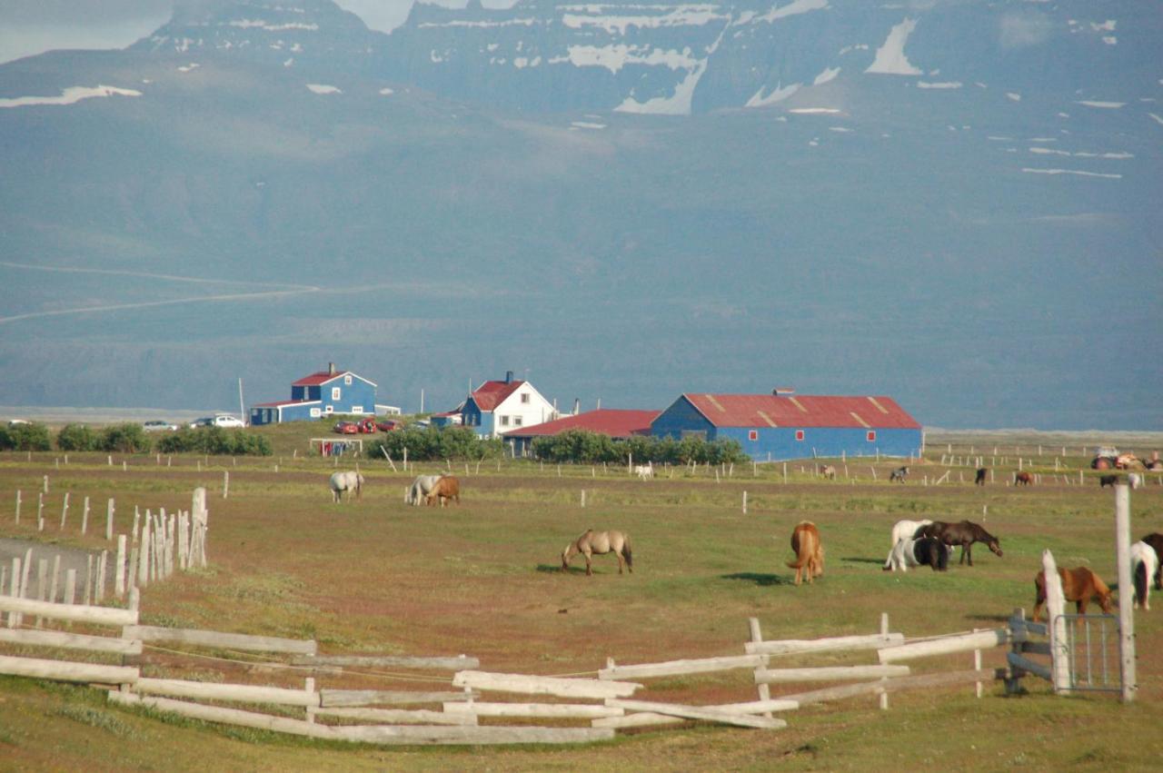 Husey Hostel & Horsefarm Еґільсстадір Екстер'єр фото