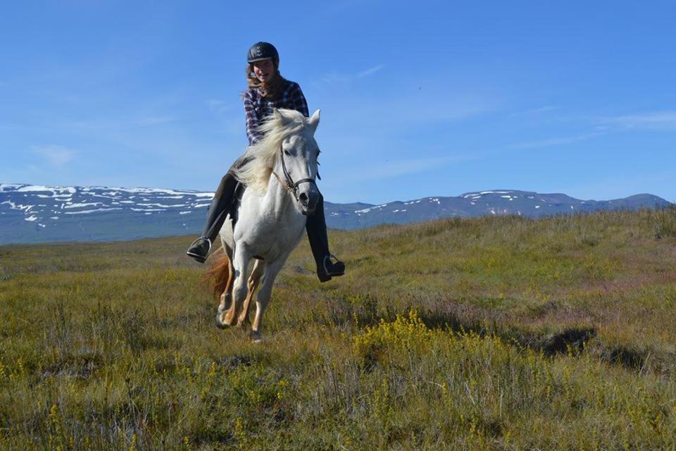 Husey Hostel & Horsefarm Еґільсстадір Екстер'єр фото