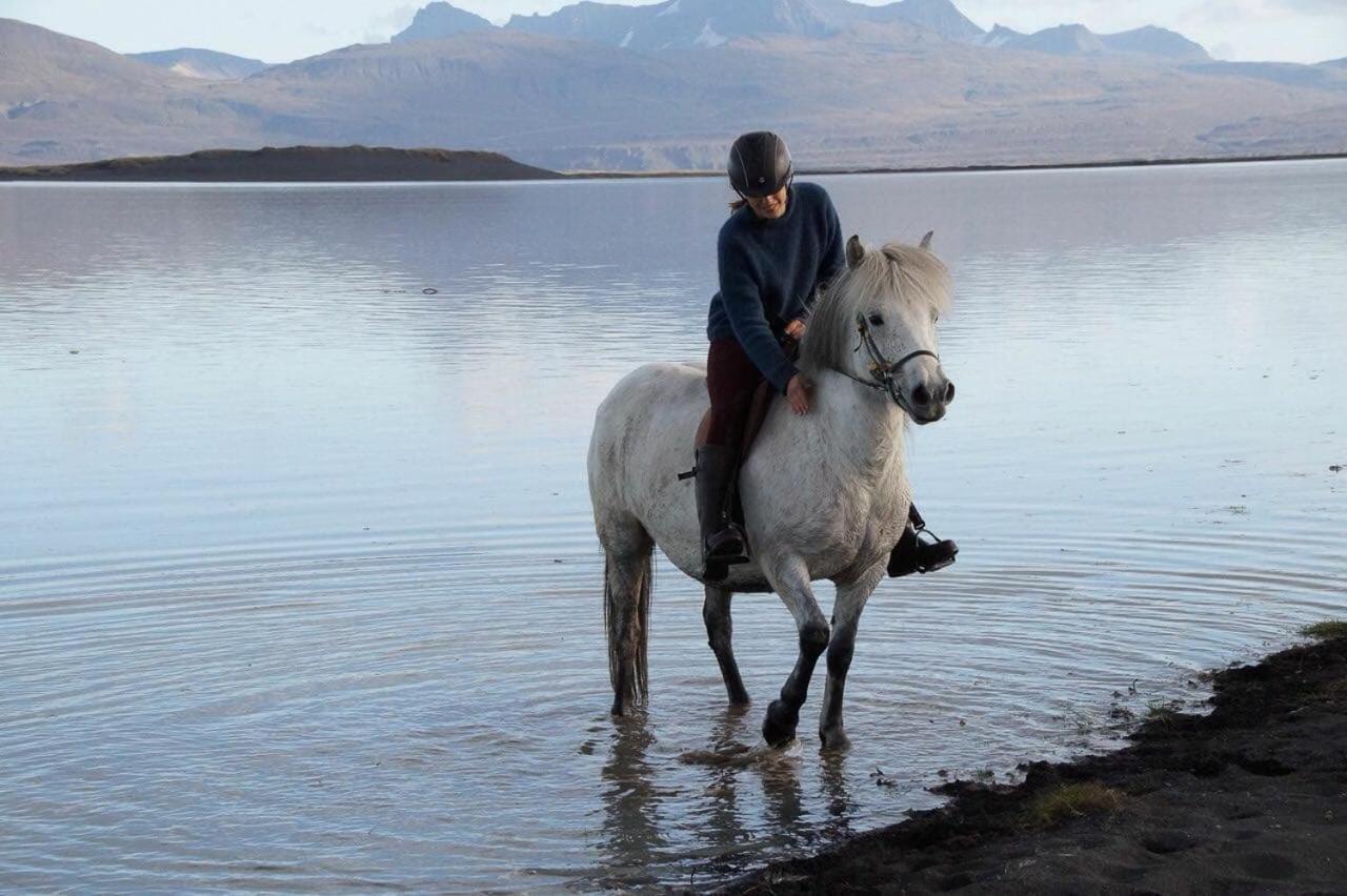 Husey Hostel & Horsefarm Еґільсстадір Екстер'єр фото