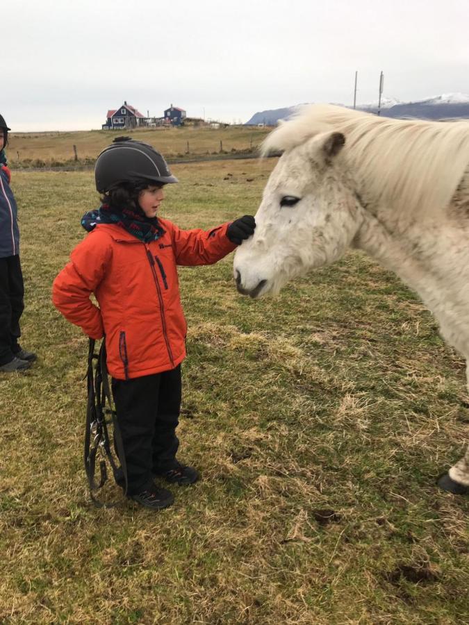 Husey Hostel & Horsefarm Еґільсстадір Екстер'єр фото