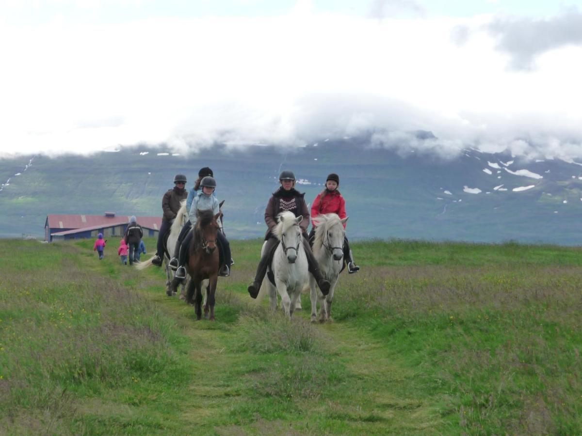 Husey Hostel & Horsefarm Еґільсстадір Екстер'єр фото