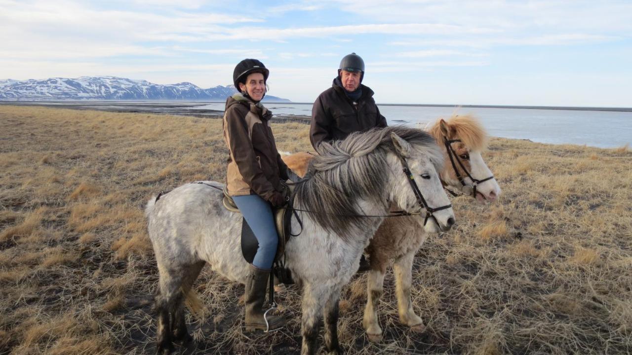 Husey Hostel & Horsefarm Еґільсстадір Екстер'єр фото